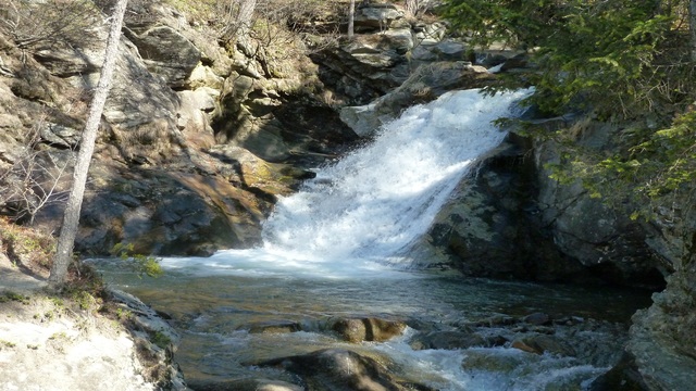 Обои 2025-12-03 №76274