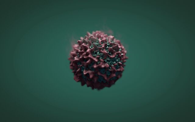 Обои 2025-12-03 №76334