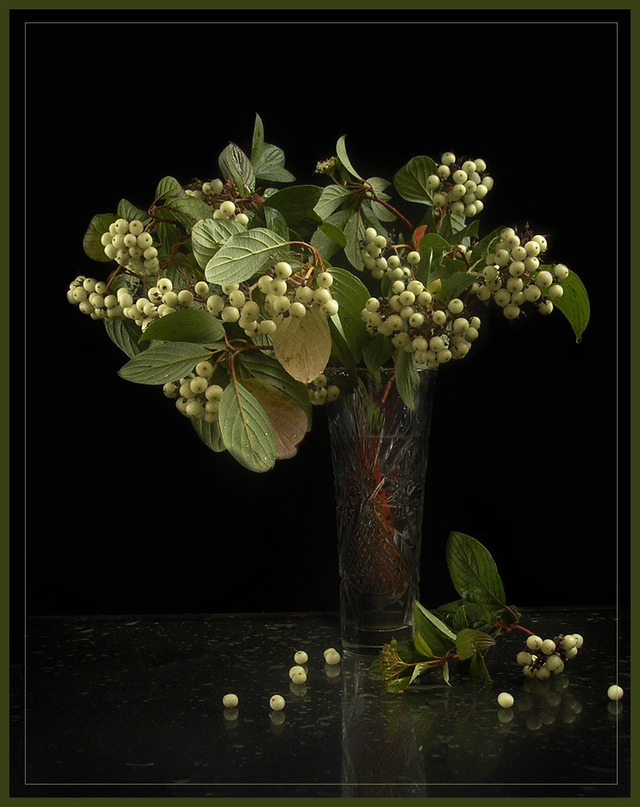 Обои 2025-12-03 №76327