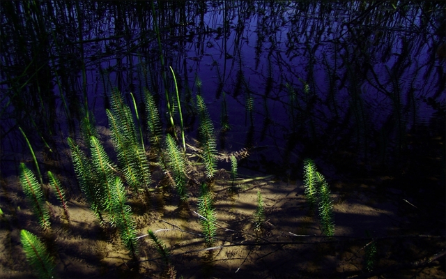 Обои 2025-12-03 №76325