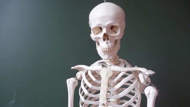 Обои 2025-12-04 №76371