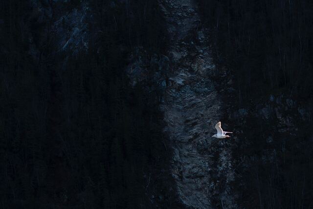 Обои 2025-12-04 №76420