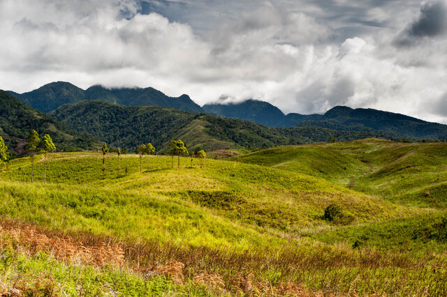 Обои 2025-12-05 №76466