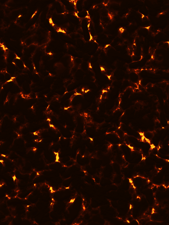 Обои 2025-12-05 №76478