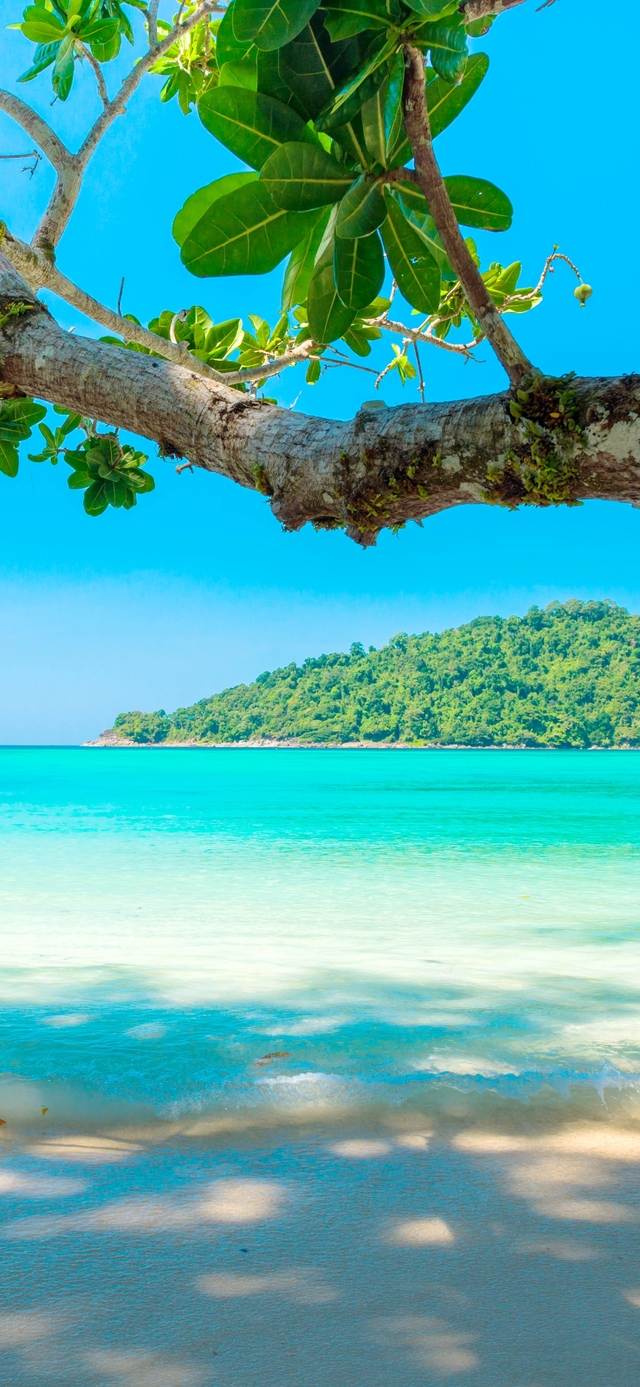 Обои 2025-12-06 №76492