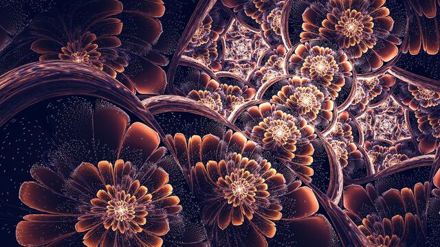 Обои 2025-12-06 №76494