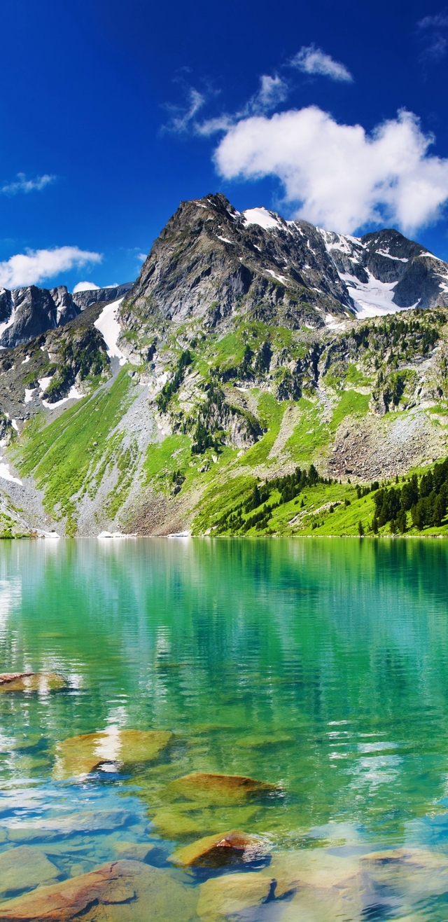 Обои 2025-12-06 №76490