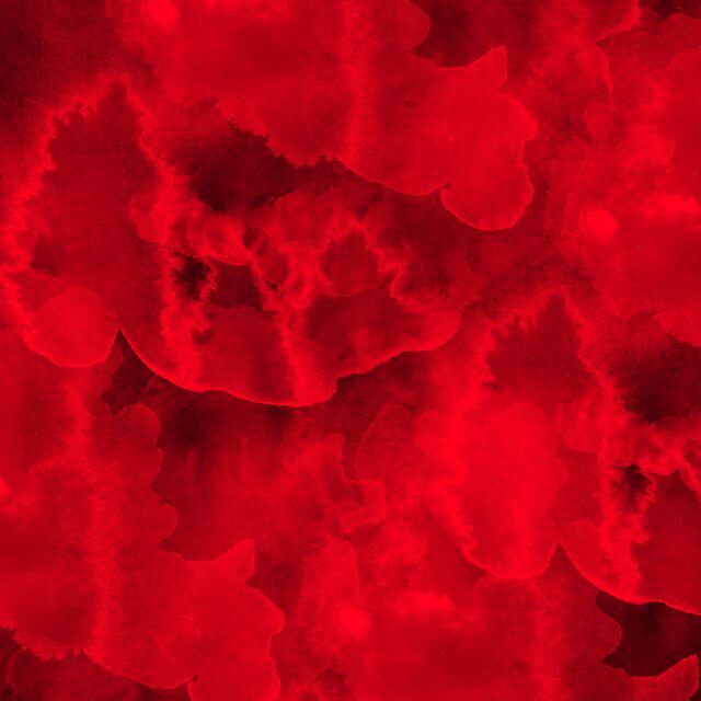 Обои 2025-12-06 №76520