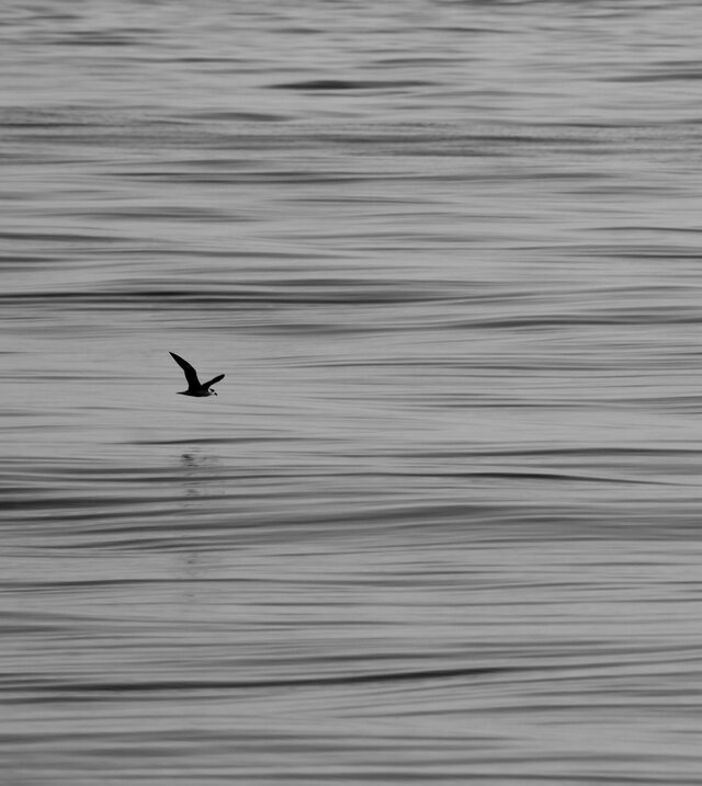 Обои 2025-12-06 №76517