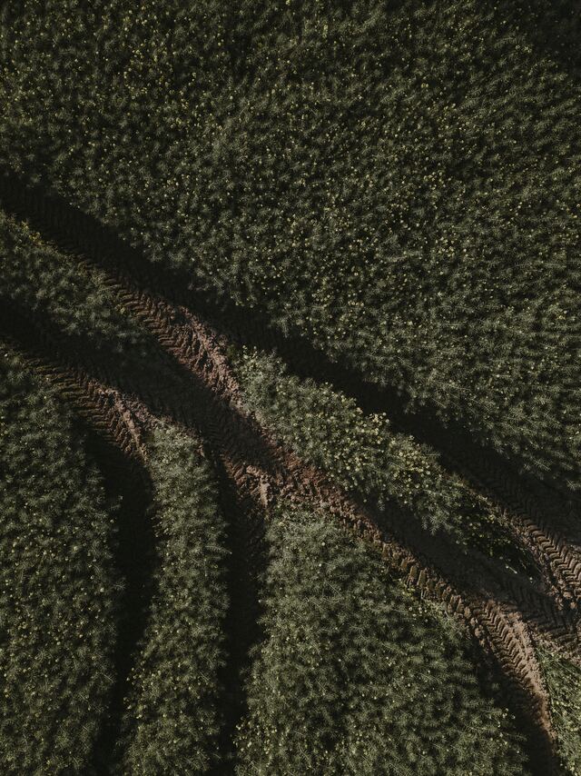 Обои 2025-12-06 №76559