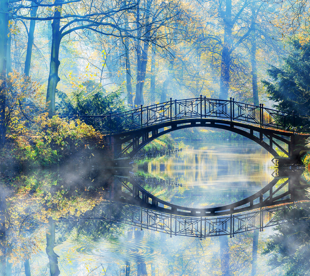 Обои 2025-12-07 №76596