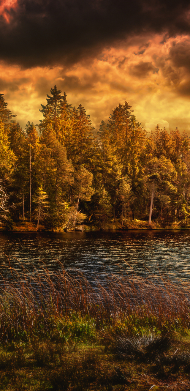 Обои 2025-12-07 №76595