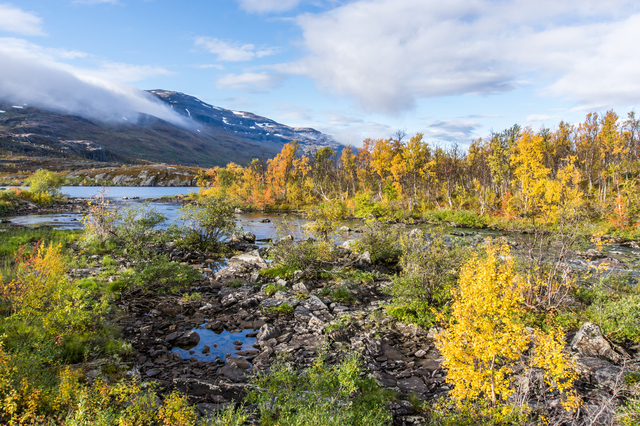 Обои 2025-12-07 №76614