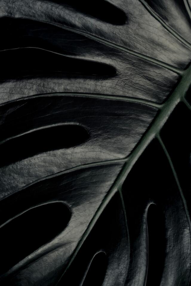 Обои 2025-12-08 №76677