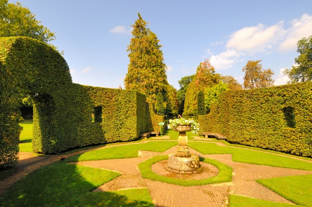 Обои 2025-12-08 №76680