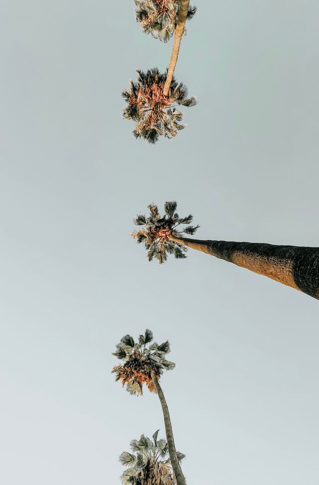 Обои 2025-12-08 №76726