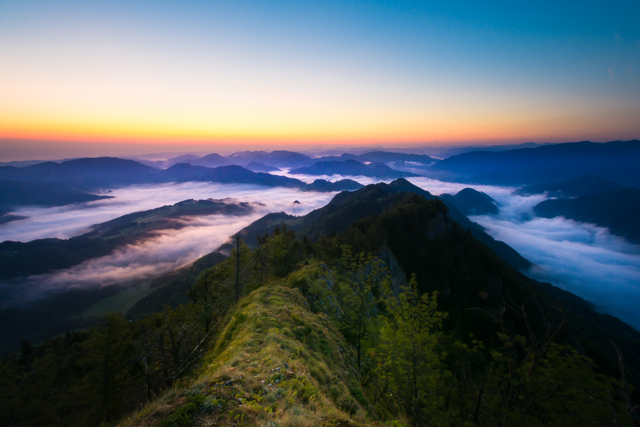 Обои 2025-12-08 №76722