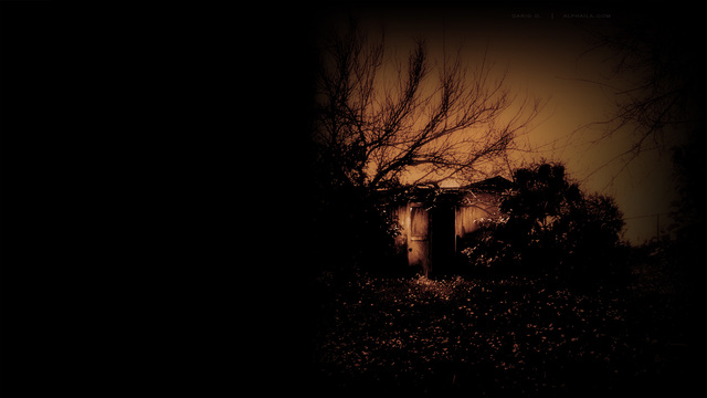 Обои 2025-12-09 №76750