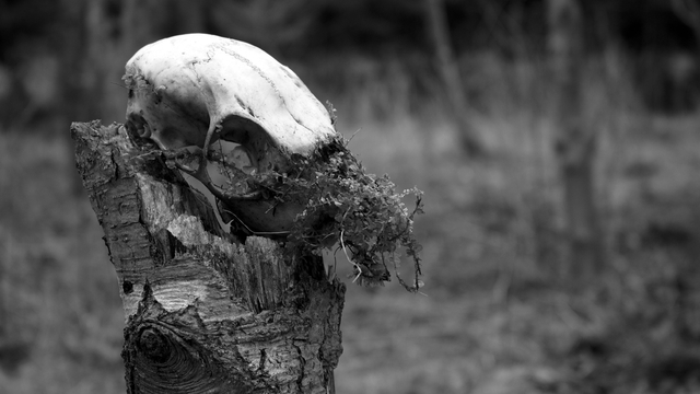 Обои 2025-12-09 №76746