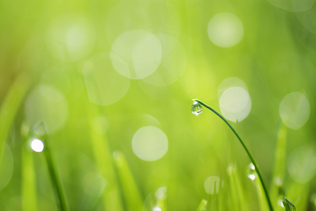 Обои 2025-12-09 №76783