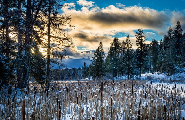 Обои 2025-12-09 №76800