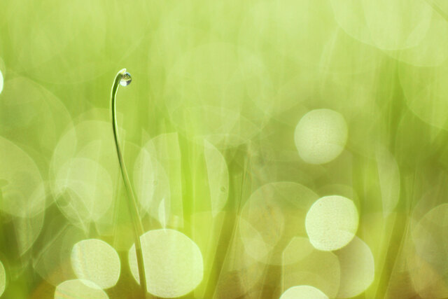 Обои 2025-12-10 №76813