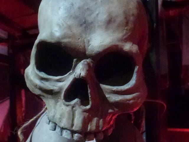 Обои 2025-12-10 №76852