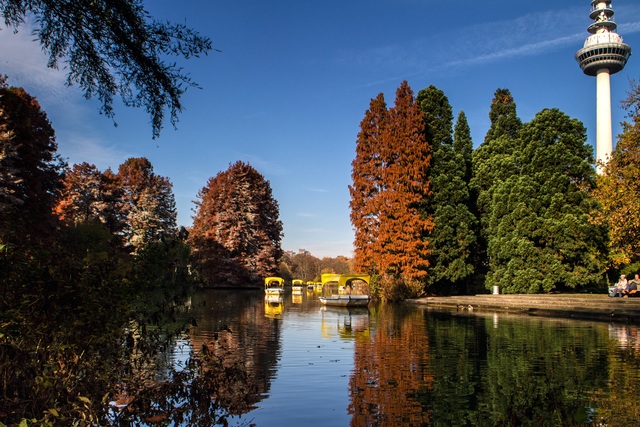 Обои 2025-12-10 №76856