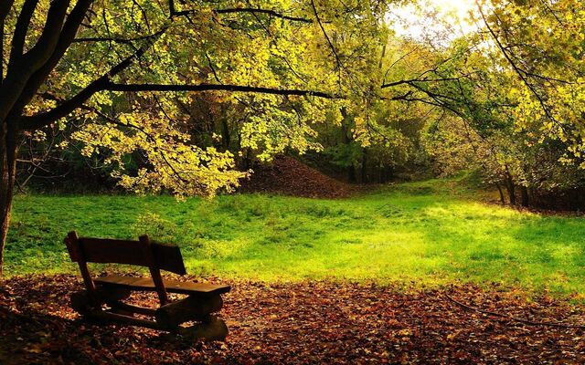 Обои 2025-12-10 №76855