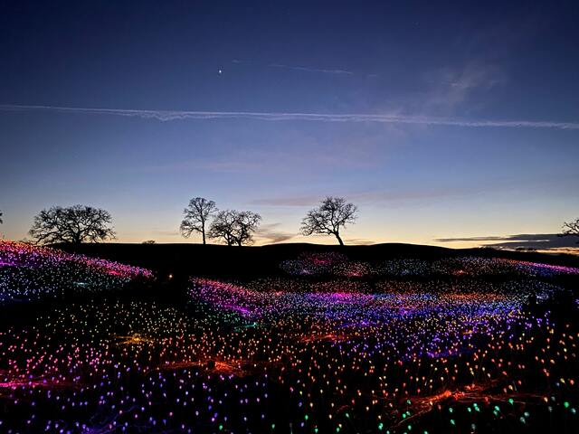 Обои 2025-12-11 №76896