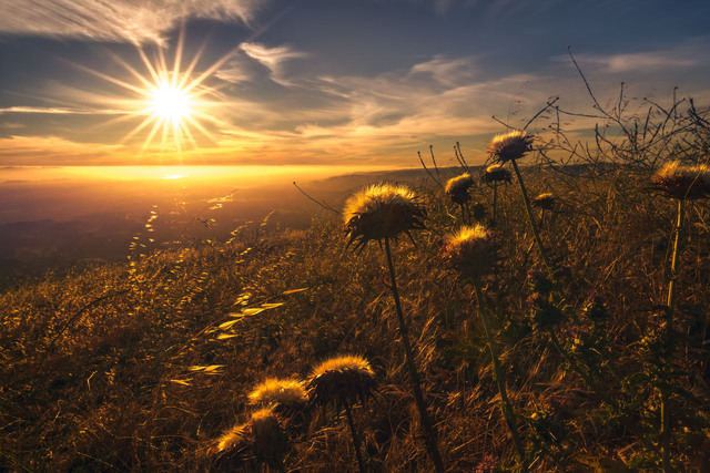 Обои 2025-12-11 №76901