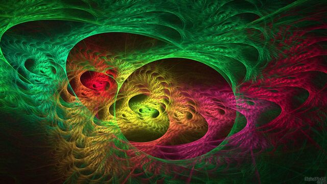 Обои 2025-12-11 №76910