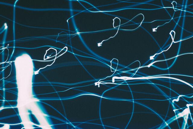 Обои 2025-12-11 №76945