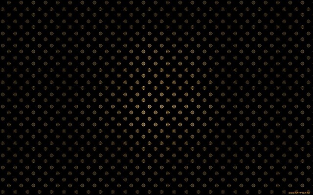 Обои 2025-12-11 №76938