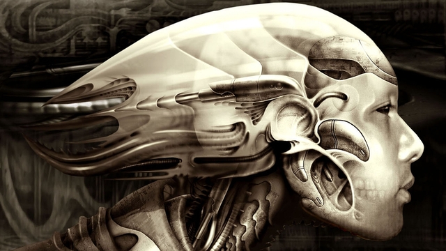 Обои 2025-12-11 №76955