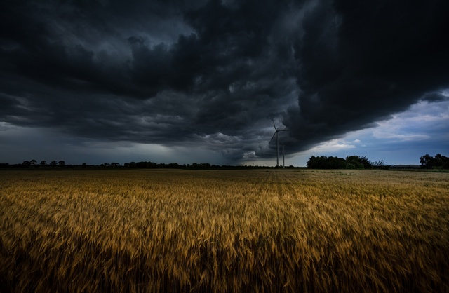 Обои 2025-12-12 №76980