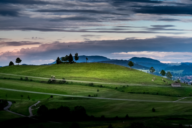 Обои 2025-12-12 №76992