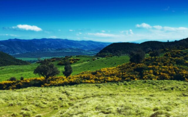 Обои 2025-12-12 №76990