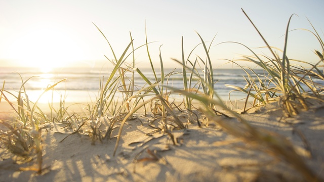 Обои 2025-12-13 №77046