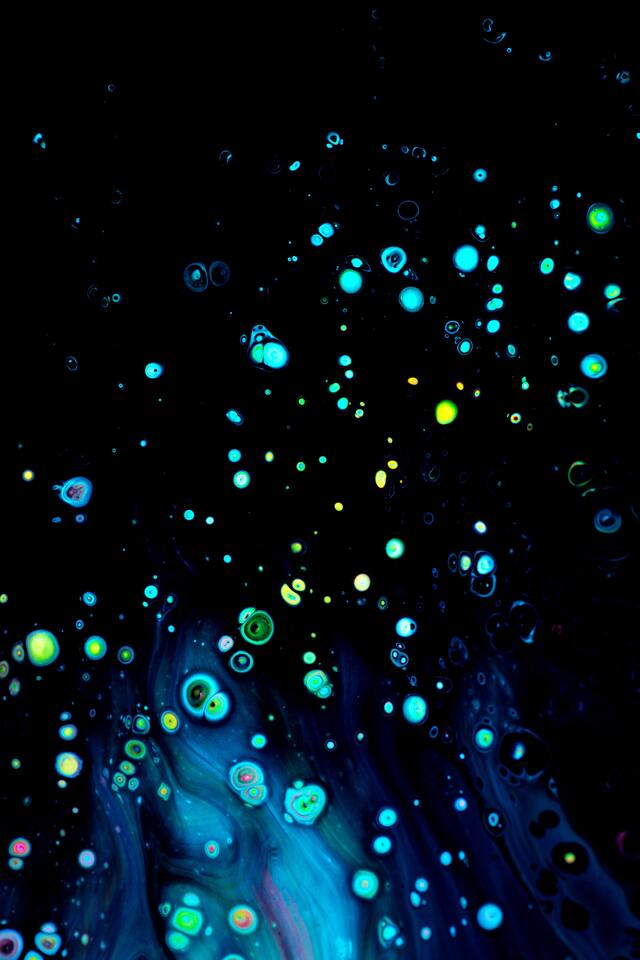 Обои 2025-12-13 №77052