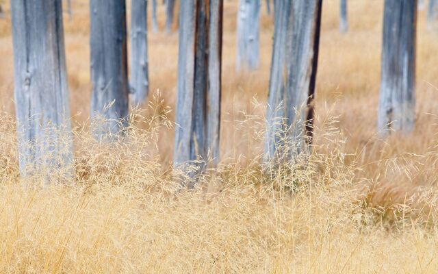 Обои 2025-12-13 №77055