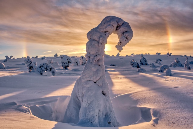 Обои 2025-12-13 №77069