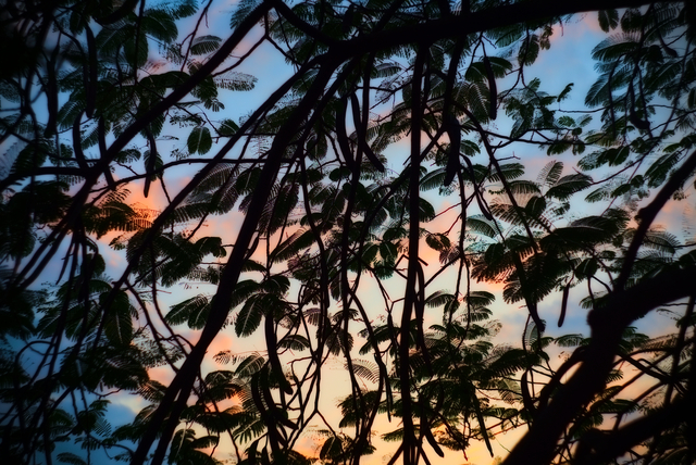 Обои 2025-12-13 №77078