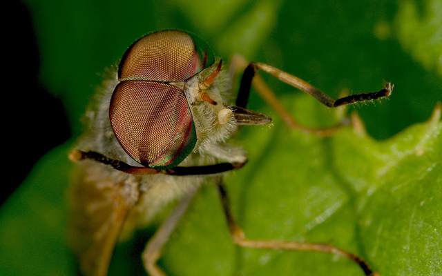 Обои 2025-12-13 №77108