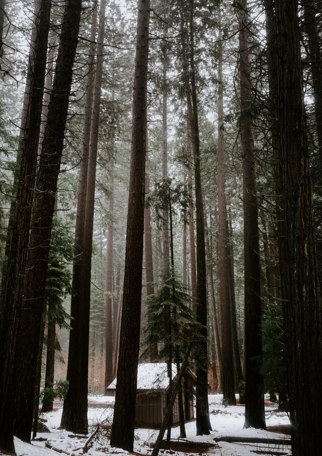 Обои 2025-12-14 №77118