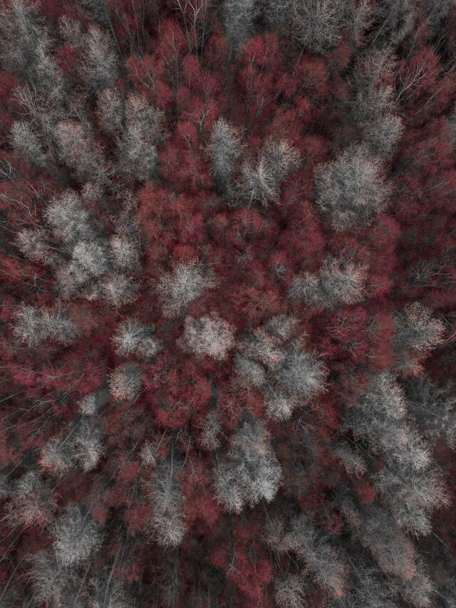 Обои 2025-12-14 №77115