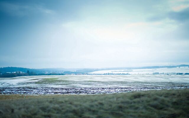 Обои 2025-12-14 №77132