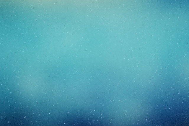 Обои 2025-12-14 №77151