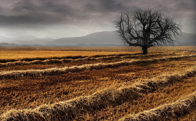 Обои 2025-12-14 №77163