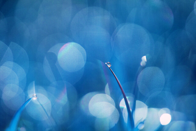 Обои 2025-12-14 №77173